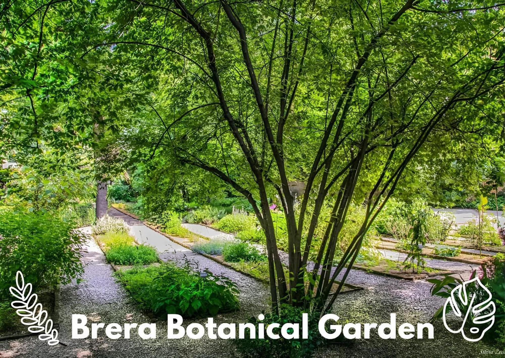 Brera Vip Spotlight - Brera - Duomo - Castello Sforzesco - Lanza Metro M2 Appartement Milaan Buitenkant foto